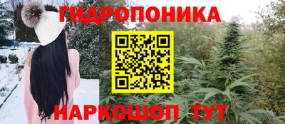 прущие грибы Можайск