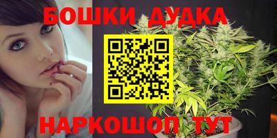 прущие грибы Можайск